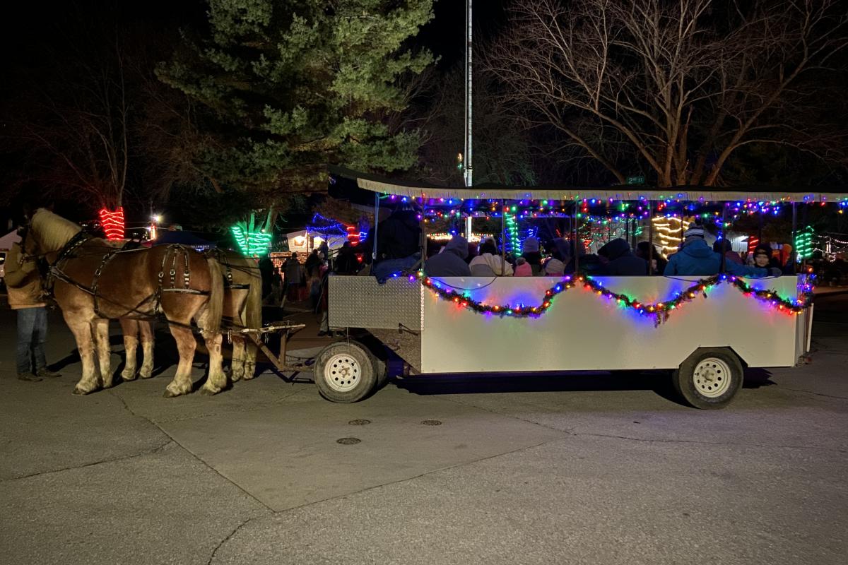 Horse Drawn Carriage