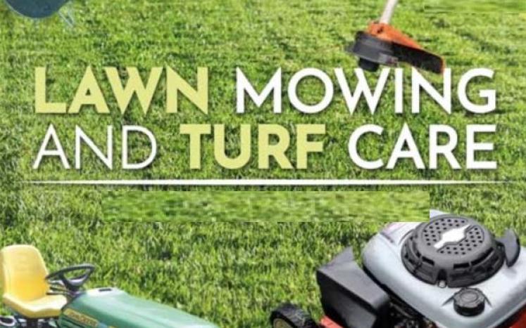 mowing and turf care
